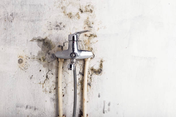 Best Mold Testing  in Taft Southwest, TX