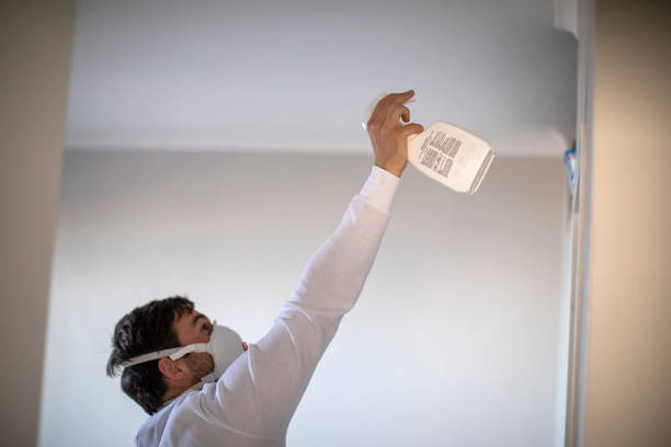 Best Best Mold Removal Companies  in Taft Southwest, TX