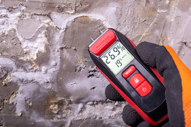 Best Mold Remediation Services  in Taft Southwest, TX