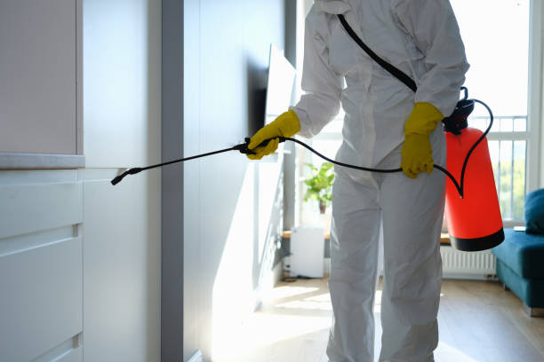 Best Mold Removal Process  in Taft Southwest, TX
