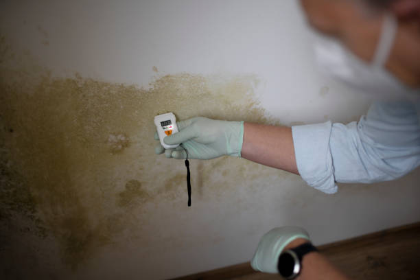 Best Mold Testing  in Taft Southwest, TX