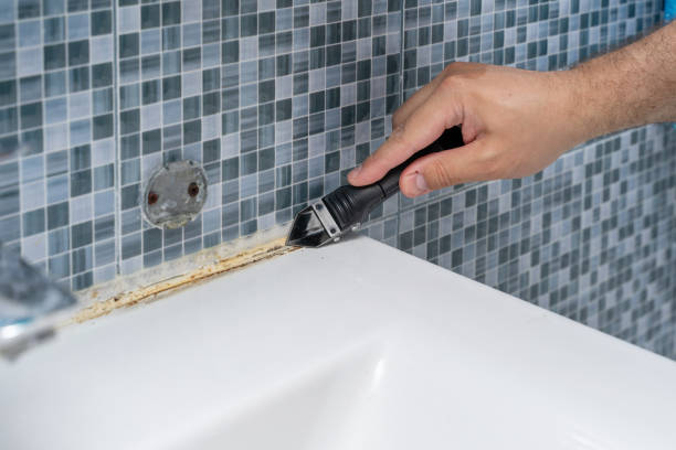 Trusted Taft Southwest, TX Mold Removal Experts