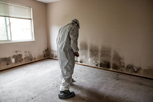 Best Mold Testing  in Taft Southwest, TX